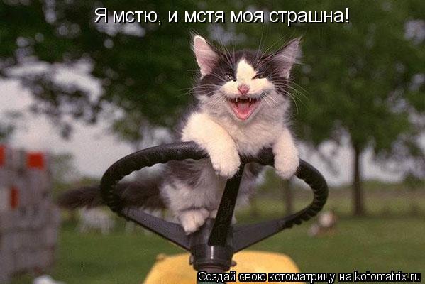 Я мстю, и мстя моя страшна!... Котоматрица: Я мстю, и мстя моя страшна!