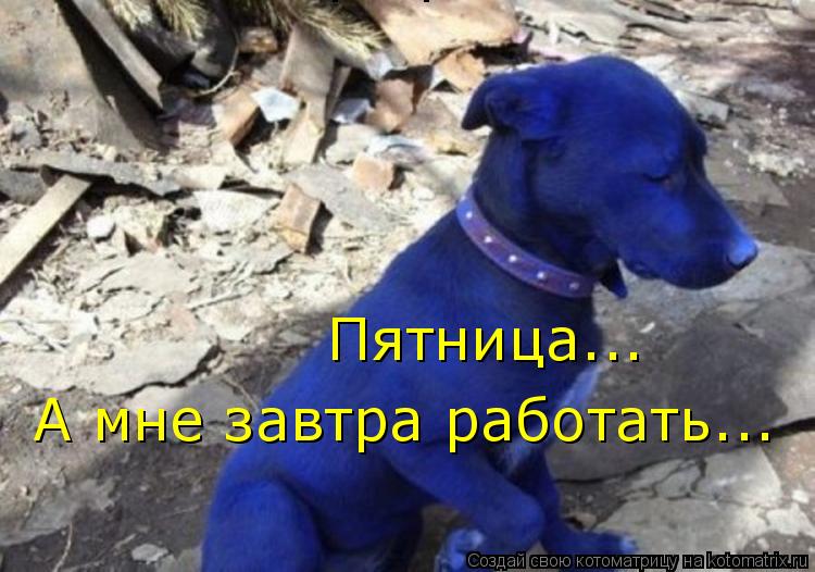 Пятница... А мне завтра работать... А мне завтра работать... А мне завтра работать... А мне завтра ра... Котоматрица: Пятница... А мне завтра работать... А мне завтра работать... А мне завтра работать... А мне завтра работать...
