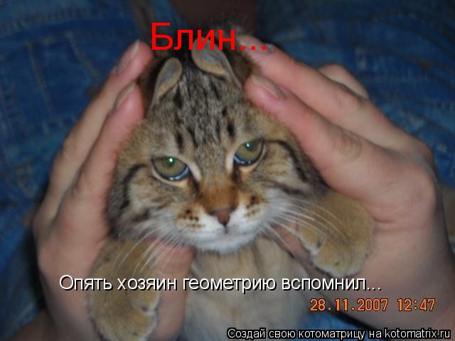 Опять хозяин геометрию вспомнил... Блин...... Котоматрица: Опять хозяин геометрию вспомнил... Блин...