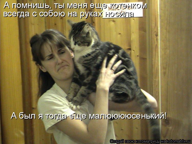 А помнишь, ты меня еще котенком всегда с собою на руках носила А был я тогда еще малююююсенький!... Котоматрица: А помнишь, ты меня еще котенком всегда с собою на руках носила А был я тогда еще малююююсенький!