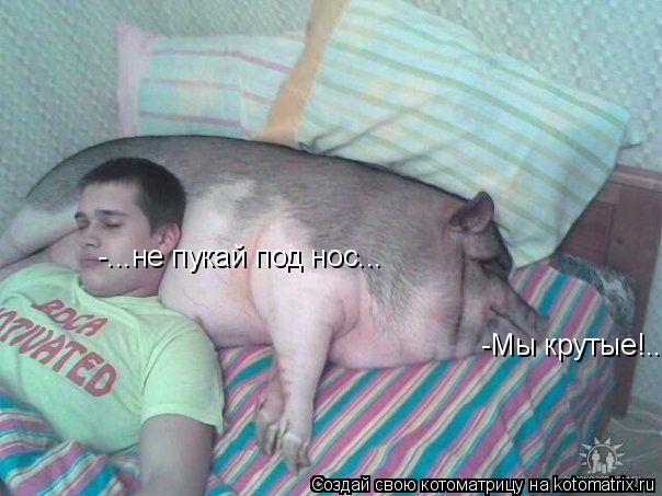 -Мы крутые!.. -...не пукай под нос...... Котоматрица: -Мы крутые!.. -...не пукай под нос...