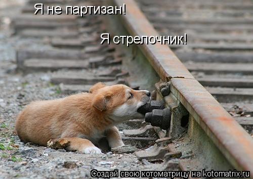 Я не партизан! Я стрелочник!... Котоматрица: Я не партизан! Я стрелочник!
