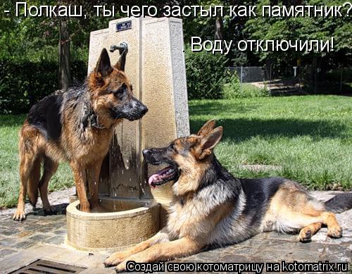 - Полкаш, ты чего застыл как памятник? – Воду отключили!... Котоматрица: - Полкаш, ты чего застыл как памятник? – Воду отключили!