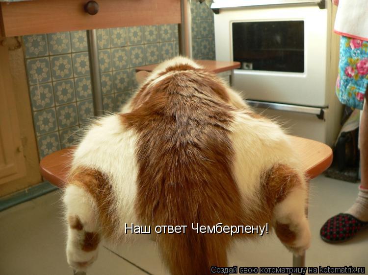 Наш ответ Чемберлену!... Котоматрица: Наш ответ Чемберлену!