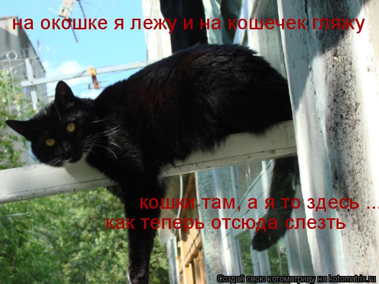 Котоматрица: на окошке я лежу и на кошечек гляжу кошки там, а я то здесь ... как теперь отсюда слезть