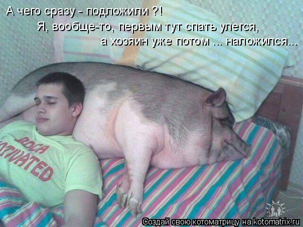 А чего сразу - подложили ?! а хозяин уже потом ... наложился... Я, вообще-то, первым тут спать улегся... Котоматрица: А чего сразу - подложили ?! а хозяин уже потом ... наложился... Я, вообще-то, первым тут спать улегся,