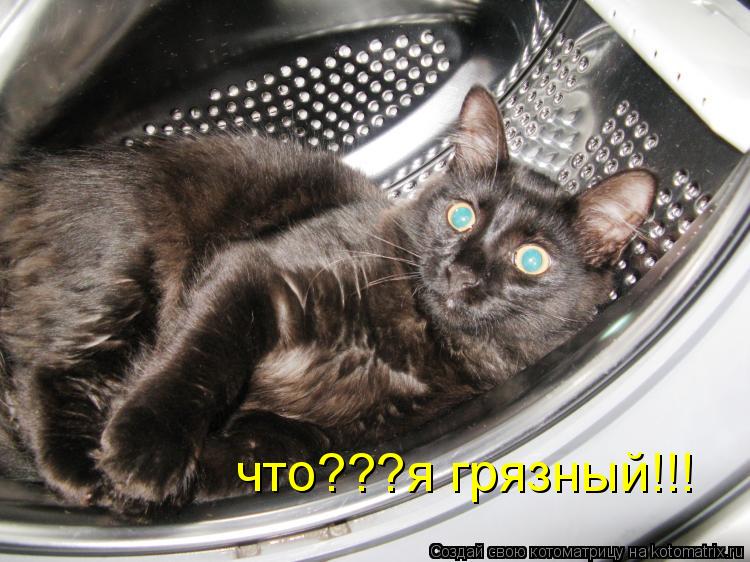 Котоматрица: что???я грязный!!!