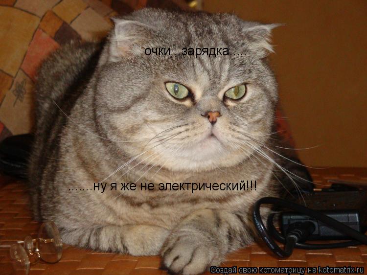 Котоматрица: очки , зарядка..... .......ну я же не электрический!!!