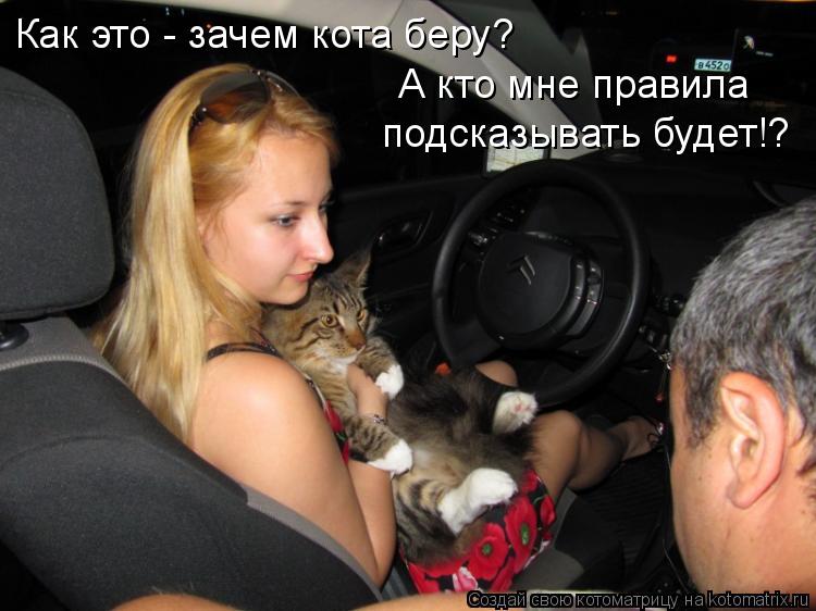 Котоматрица: Как это - зачем кота беру? А кто мне правила подсказывать будет!?