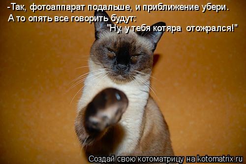 Котоматрица: -Так, фотоаппарат подальше, и приближение убери. А то опять все говорить будут:  "Ну, у тебя котяра  отожрался!"