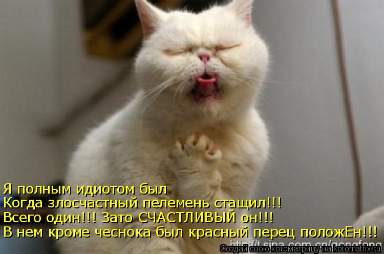 Я полным идиотом был Когда злосчастный пелемень стащил!!! Всего один!!! Зато СЧАСТЛИВЫЙ он!!! В нем к... Котоматрица: Я полным идиотом был Когда злосчастный пелемень стащил!!! Всего один!!! Зато СЧАСТЛИВЫЙ он!!! В нем кроме чеснока был красный перец положЕн!!!