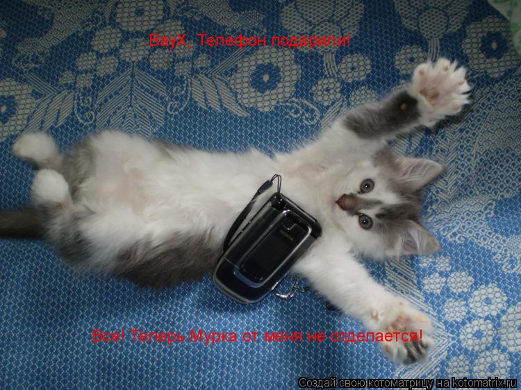 Котоматрица: ВауХ, Телефон подарили! Все! Теперь Мурка от меня не отделается!