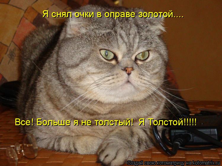 Котоматрица: Я снял очки в оправе золотой.... Все! Больше я не толстый!  Я Толстой!!!!!
