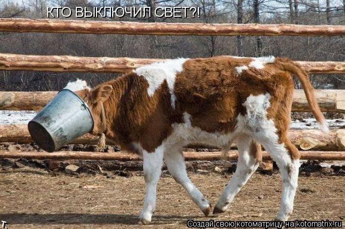 Котоматрица: КТО ВЫКЛЮЧИЛ СВЕТ?!
