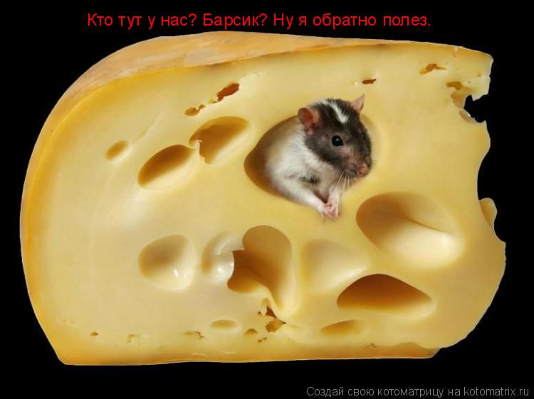 Кто тут у нас? Барсик? Ну я обратно полез.... Котоматрица: Кто тут у нас? Барсик? Ну я обратно полез.