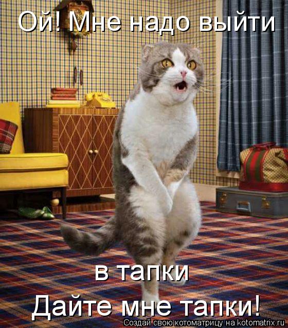 Ой! Мне надо выйти Дайте мне тапки! в тапки... Котоматрица: Ой! Мне надо выйти Дайте мне тапки! в тапки