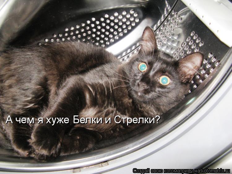Котоматрица: А чем я хуже Белки и Стрелки?