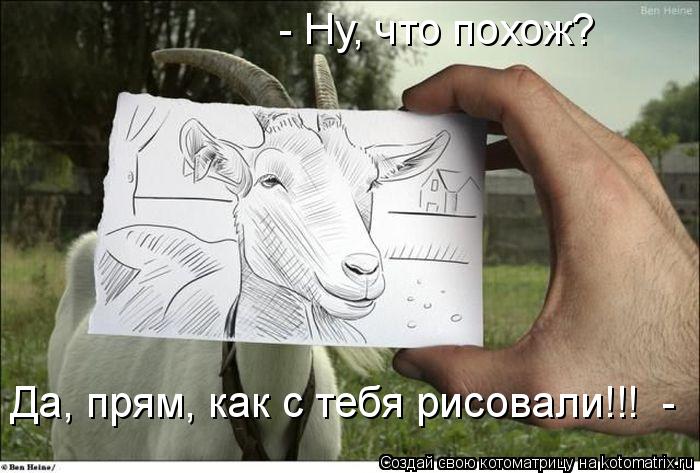 - Ну, что похож? Да, прям, как с тебя рисовали!!! -... Котоматрица: - Ну, что похож? Да, прям, как с тебя рисовали!!! -