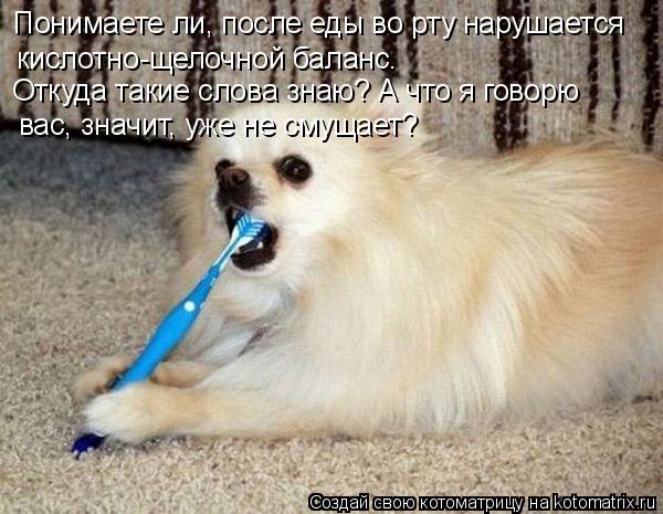 Понимаете ли, после еды во рту нарушается кислотно-щелочной баланс. Откуда такие слова знаю? А что я ... Котоматрица: Понимаете ли, после еды во рту нарушается кислотно-щелочной баланс. Откуда такие слова знаю? А что я говорю вас, значит, уже не смущает?