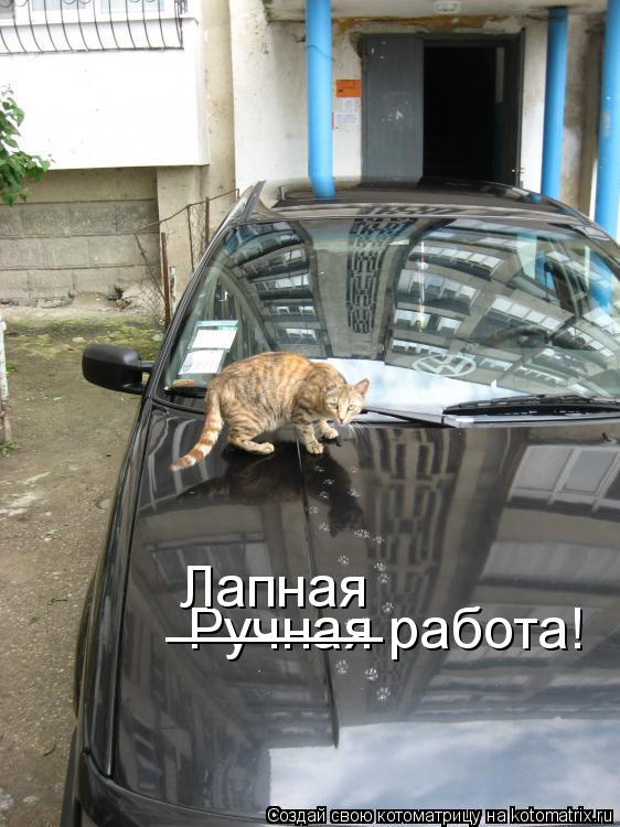 Ручная работа! _______ Лапная... Котоматрица: Ручная работа! _______ Лапная