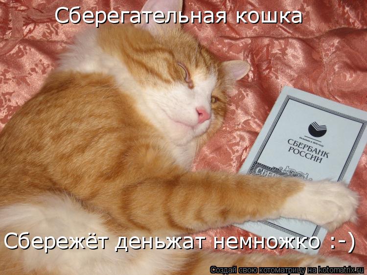 Сберегательная кошка Сбережёт деньжат немножко :-)... Котоматрица: Сберегательная кошка Сбережёт деньжат немножко :-)