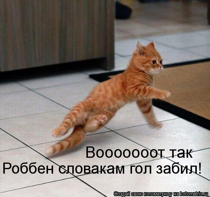 Вооооооот так Роббен словакам гол забил!... Котоматрица: Вооооооот так Роббен словакам гол забил!