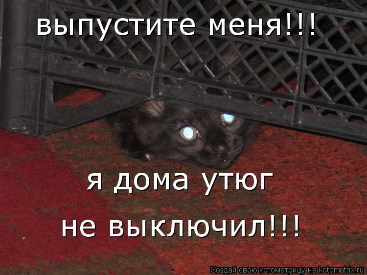 выпустите меня!!! я дома утюг не выключил!!!... Котоматрица: выпустите меня!!! я дома утюг не выключил!!!