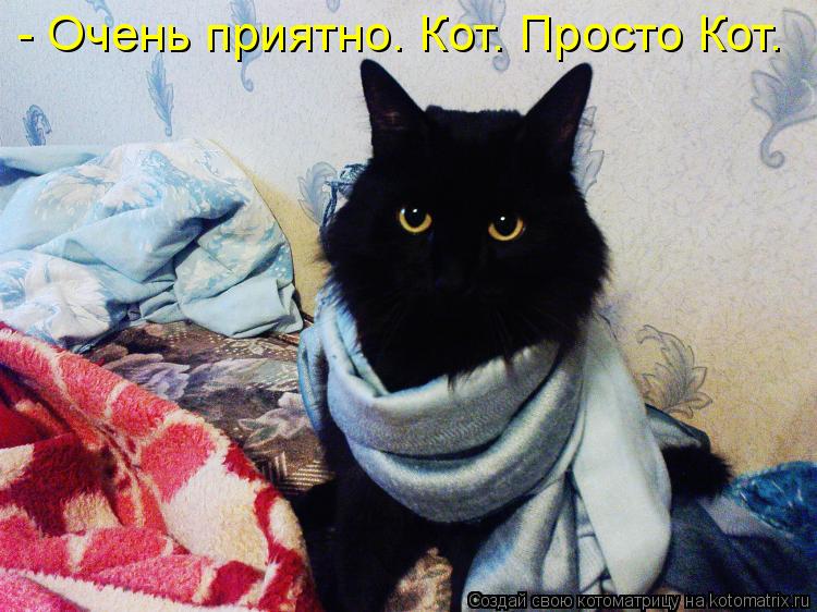 - Очень приятно. Кот. Просто Кот.... Котоматрица: - Очень приятно. Кот. Просто Кот.