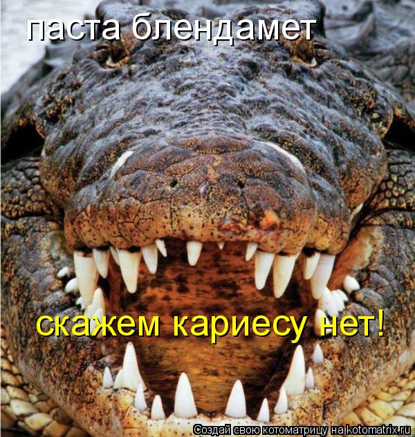паста блендамет скажем кариесу нет!... Котоматрица: паста блендамет скажем кариесу нет!