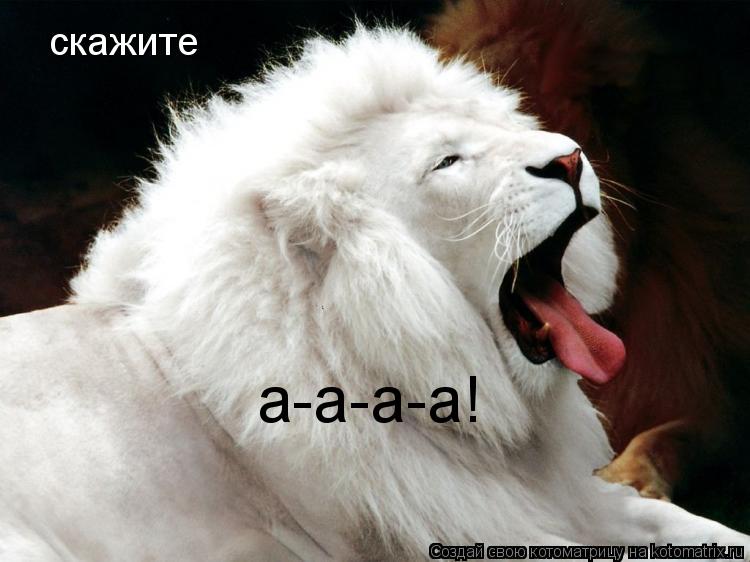 скажите а-а-а-а!... Котоматрица: скажите а-а-а-а!