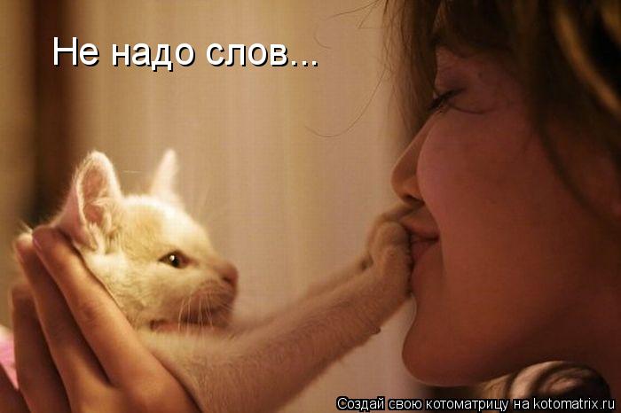 Не надо слов...... Котоматрица: Не надо слов...