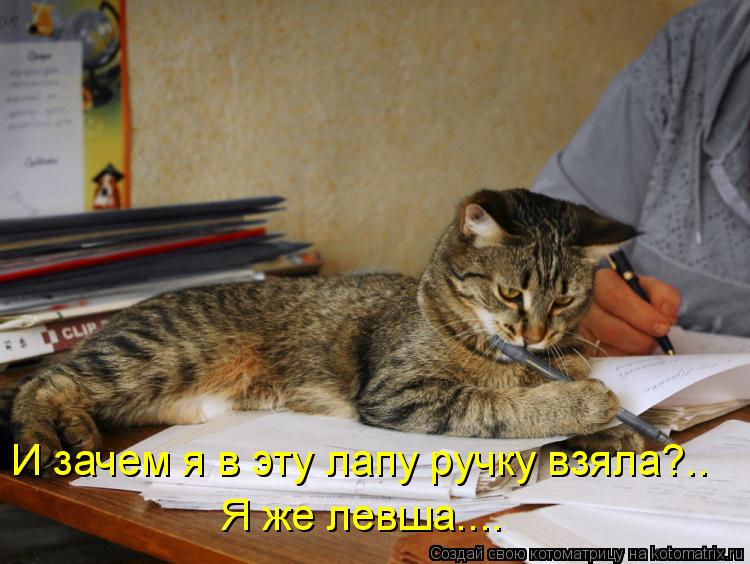 Котоматрица: И зачем я в эту лапу ручку взяла?.. Я же левша....