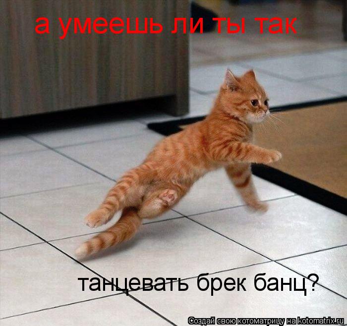 а умеешь ли ты так танцевать брек банц?... Котоматрица: а умеешь ли ты так танцевать брек банц?