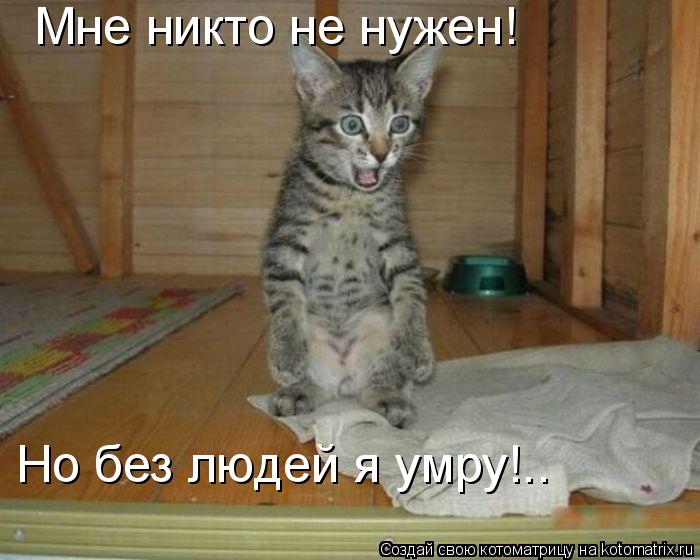 Мне никто не нужен! Но без людей я умру!..... Котоматрица: Мне никто не нужен! Но без людей я умру!..