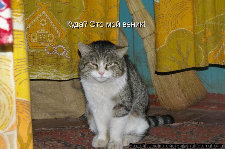 Куда? Это мой веник!... Котоматрица: Куда? Это мой веник!
