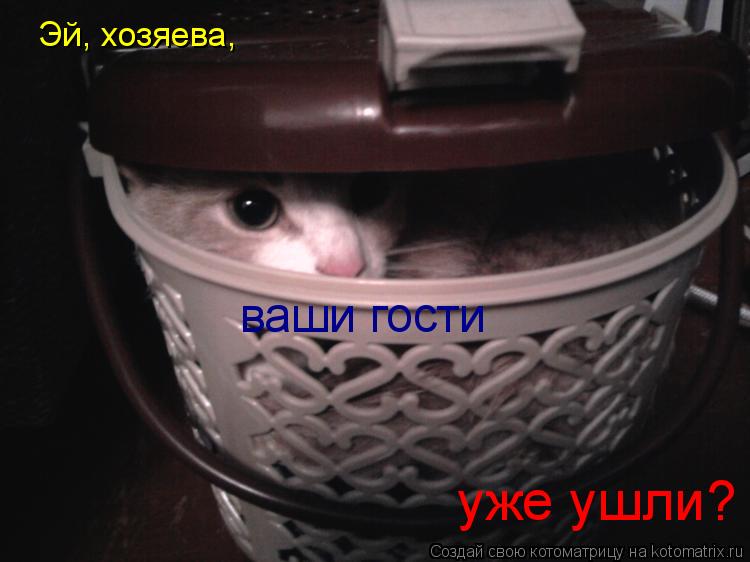Эй, хозяева, ваши гости уже ушли?... Котоматрица: Эй, хозяева, ваши гости уже ушли?