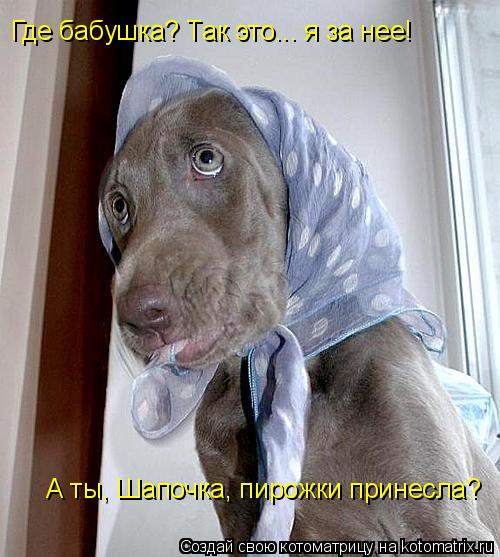 Котоматрица: Где бабушка? Так это... я за нее!  А ты, Шапочка, пирожки принесла?