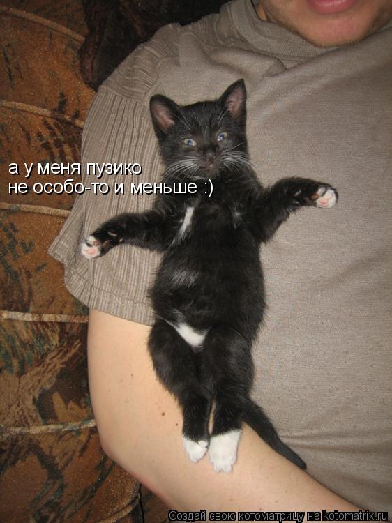 Котоматрица: а у меня пузико не особо-то и меньше :)