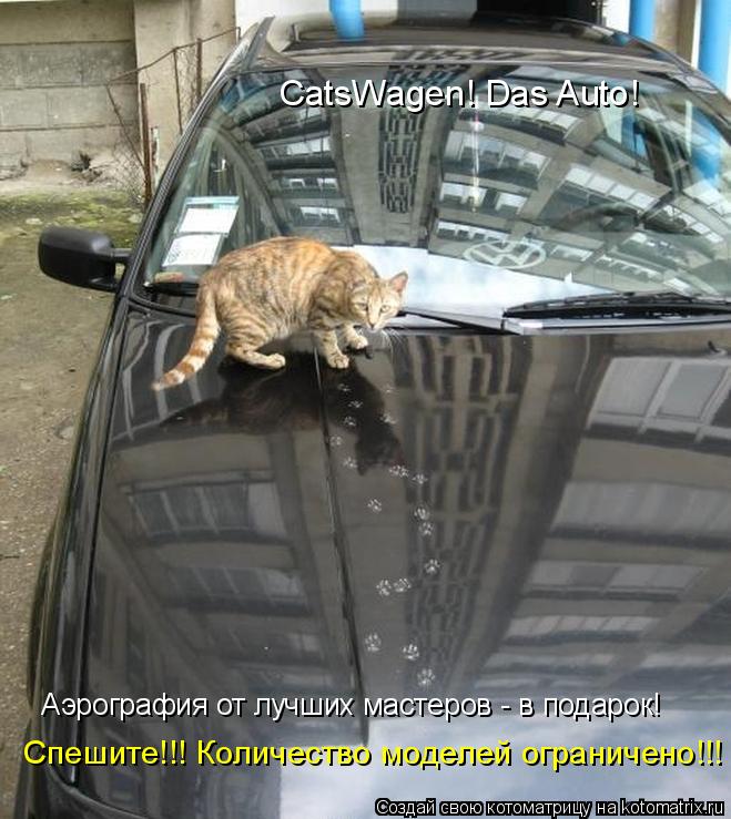 Котоматрица: CatsWagen! Das Auto! Аэрография от лучших мастеров - в подарок! Спешите!!! Количество моделей ограничено!!!