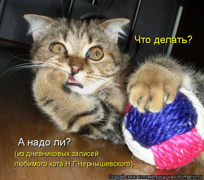 Что делать? А надо ли? (из дневниковых записей любимого кота Н.Г.Чернышевского)... Котоматрица: Что делать? А надо ли? (из дневниковых записей любимого кота Н.Г.Чернышевского)