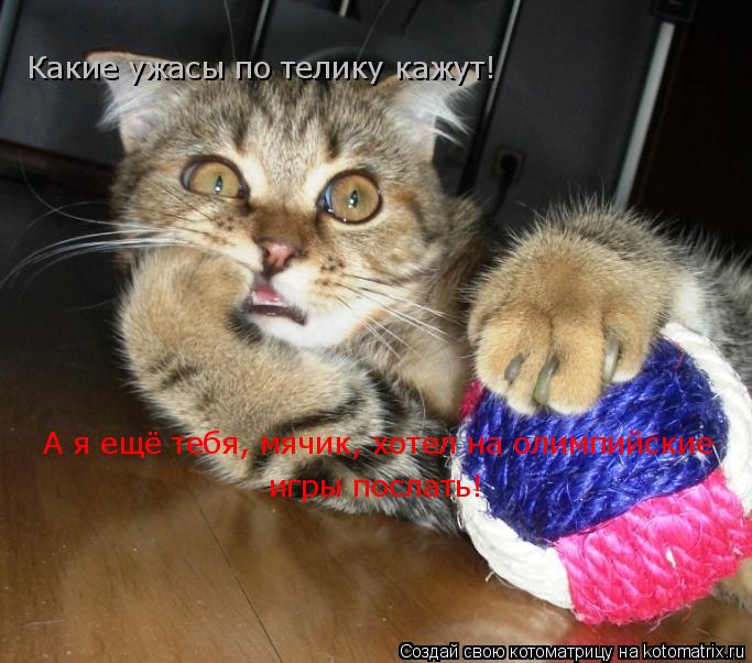 Котоматрица: Какие ужасы по телику кажут! А я ещё тебя, мячик, хотел на олимпийские А я ещё тебя, мячик, хотел на олимпийские игры послать!