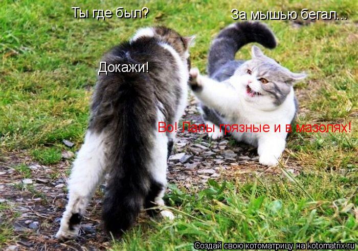 Котоматрица: Ты где был? За мышью бегал... Докажи! Во! Лапы грязные и в мазолях!