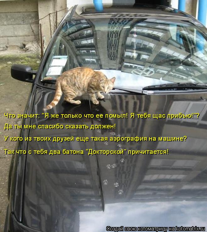 Котоматрица: Что значит: "Я же только что ее помыл! Я тебя щас прибъю!"? Да ты мне спасибо сказать должен! У кого из твоих друзей еще такая аэрография на маш