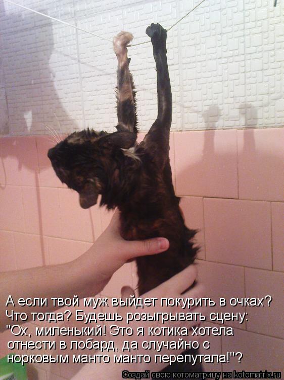 Котоматрица: А если твой муж выйдет покурить в очках? Что тогда? Будешь розыгрывать сцену: "Ох, миленький! Это я котика хотела отнести в лобард, да случайн