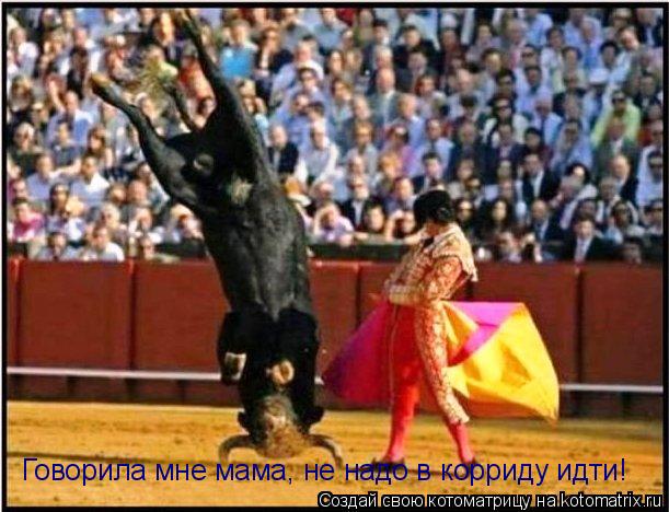 Котоматрица: Говорила мне мама, не надо в корриду идти!