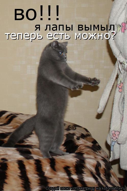 во!!! я лапы вымыл теперь есть можно?... Котоматрица: во!!! я лапы вымыл теперь есть можно?