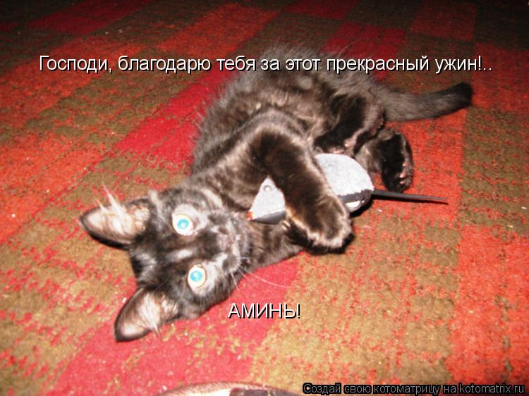Котоматрица: Господи, благодарю тебя за этот прекрасный ужин!.. АМИНЬ!