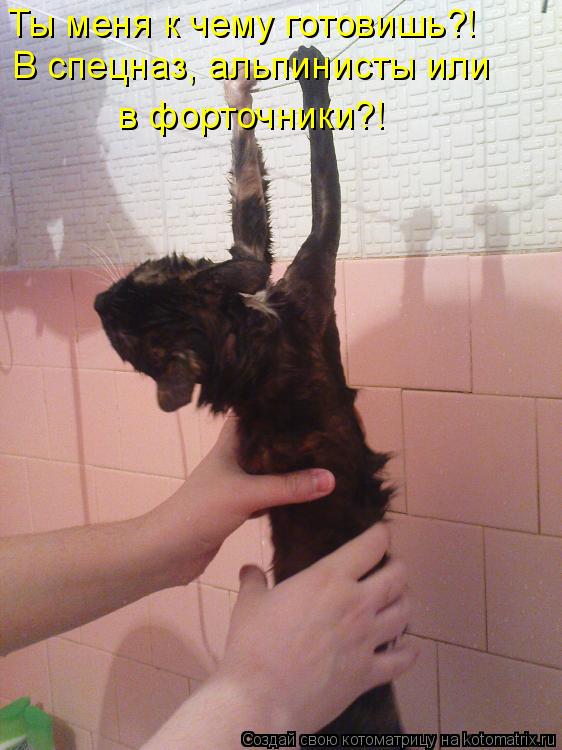 Котоматрица: Ты меня к чему готовишь?! В спецназ, альпинисты или  в форточники?!