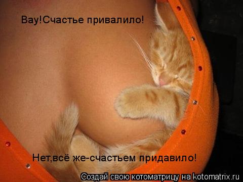 Котоматрица: Вау!Счастье привалило! Нет,всё же-счастьем придавило!