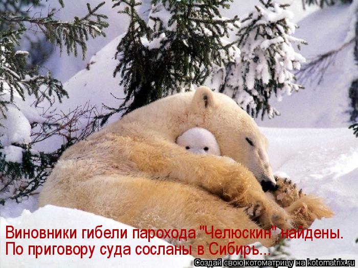 Котоматрица: Виновники гибели парохода "Челюскин" найдены. По приговору суда сосланы в Сибирь...